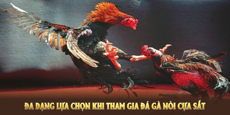 Đa dạng lựa chọn khi tham gia đá gà nòi cựa sắt tại 8KBET