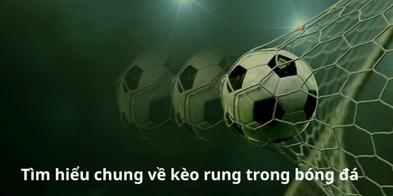 Tìm hiểu một số cách cược Running Ball ấn tượng